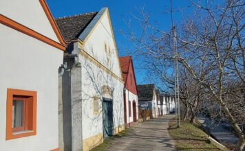 Tanzabend mit Köstlichkeiten in Nadwar / Nemesnádudvar am 27. Februar