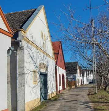 Tanzabend mit Köstlichkeiten in Nadwar / Nemesnádudvar am 27. Februar