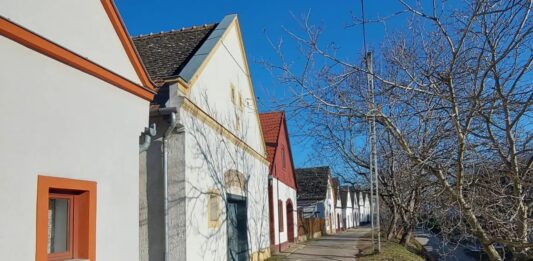 Tanzabend mit Köstlichkeiten in Nadwar / Nemesnádudvar am 27. Februar