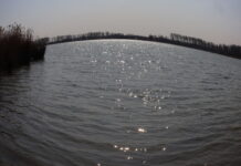 Az első tavaszi napok a tónál – Die ersten Frühlingstage am See