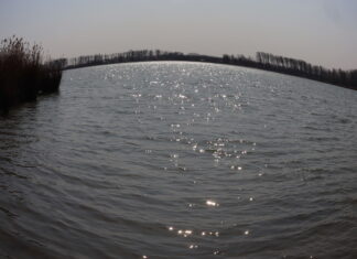 Az első tavaszi napok a tónál – Die ersten Frühlingstage am See