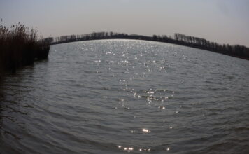 Az első tavaszi napok a tónál – Die ersten Frühlingstage am See