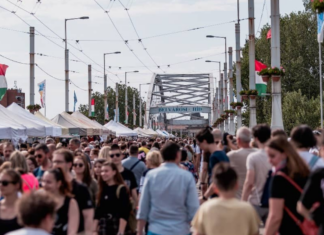 Weine von 150 Winzern + Brückenfest