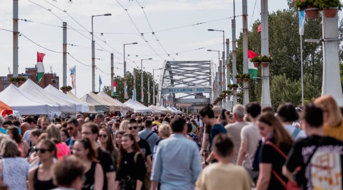 Weine von 150 Winzern + Brückenfest