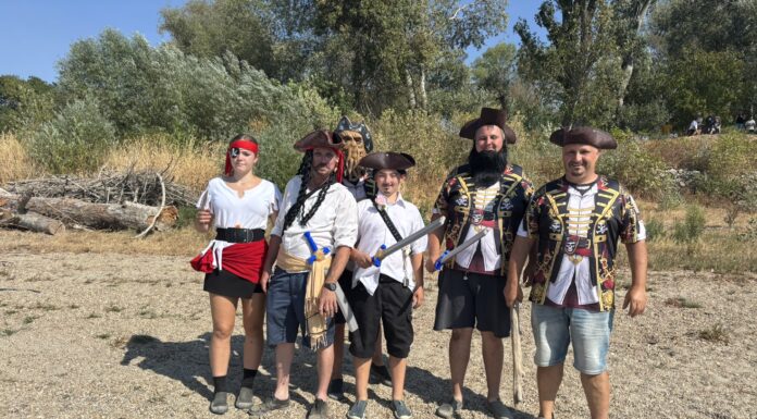 Verrückte Schiffe mit verrückter Besatzung