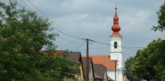 Im Zeichen der Archäologie und der ungarndeutschen Kultur